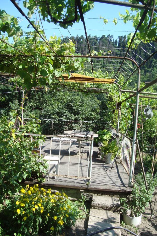 Guesthouse Valeria Borjomi Exterior photo