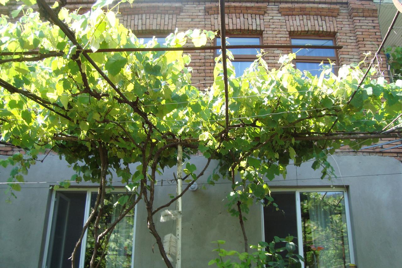 Guesthouse Valeria Borjomi Exterior photo