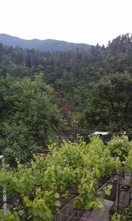 Guesthouse Valeria Borjomi Exterior photo