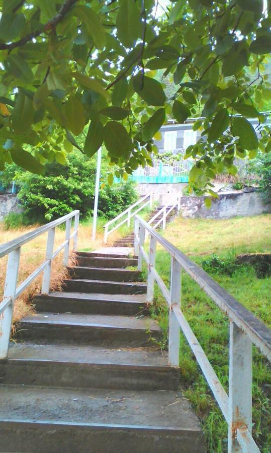 Guesthouse Valeria Borjomi Exterior photo